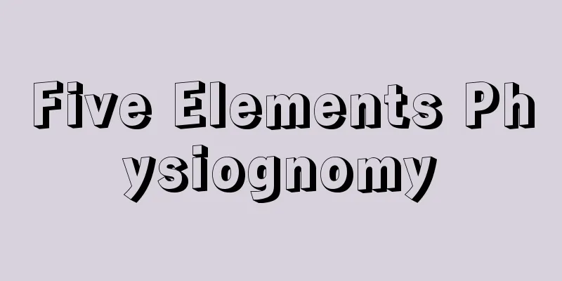 Five Elements Physiognomy