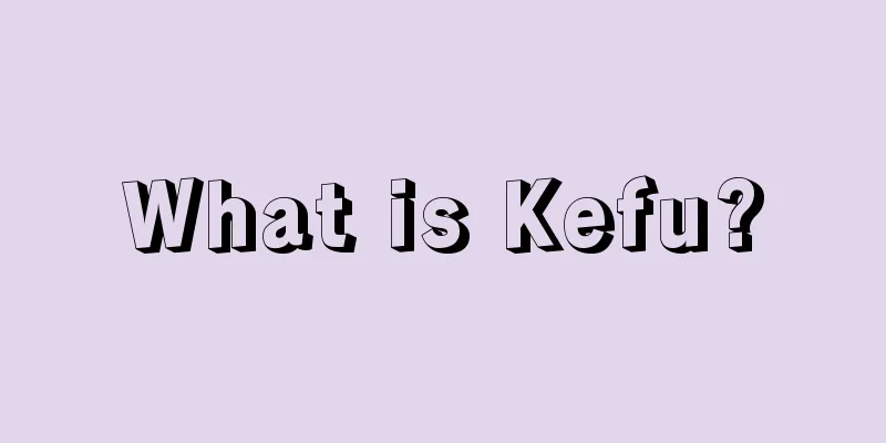 What is Kefu?