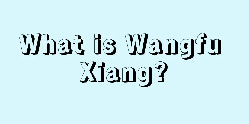 What is Wangfu Xiang?