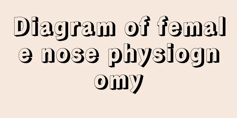 Diagram of female nose physiognomy