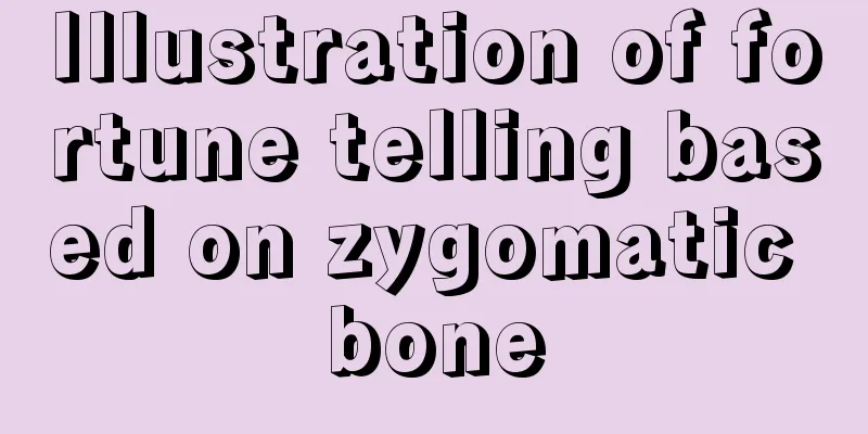 Illustration of fortune telling based on zygomatic bone