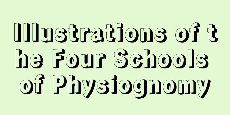 Illustrations of the Four Schools of Physiognomy