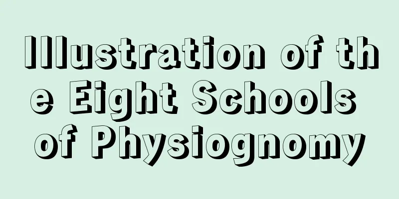Illustration of the Eight Schools of Physiognomy