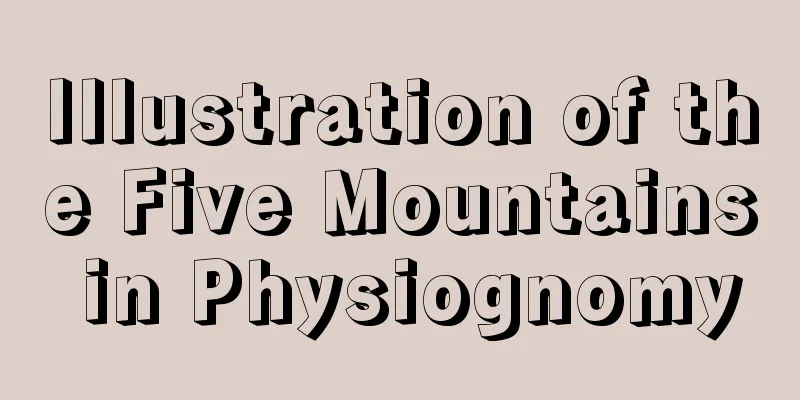 Illustration of the Five Mountains in Physiognomy