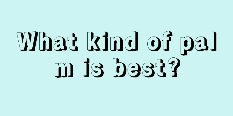 What kind of palm is best?