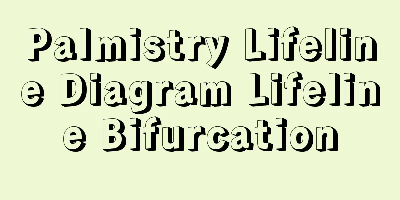 Palmistry Lifeline Diagram Lifeline Bifurcation