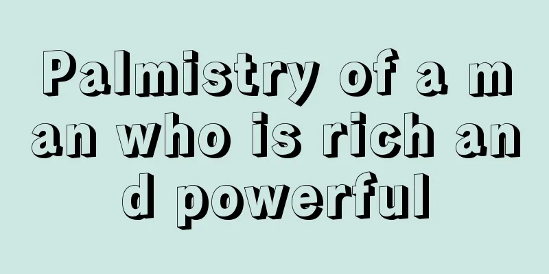 Palmistry of a man who is rich and powerful