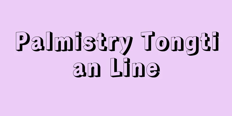 Palmistry Tongtian Line