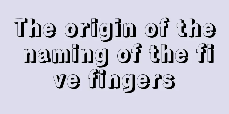 The origin of the naming of the five fingers