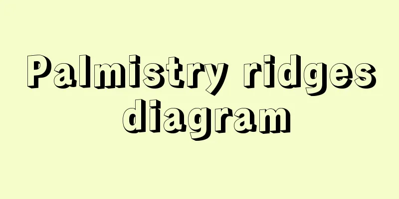 Palmistry ridges diagram