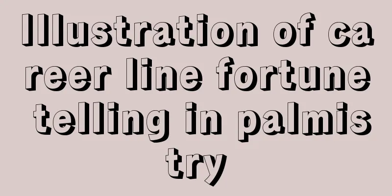 Illustration of career line fortune telling in palmistry