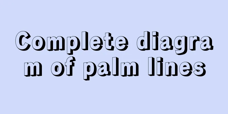 Complete diagram of palm lines