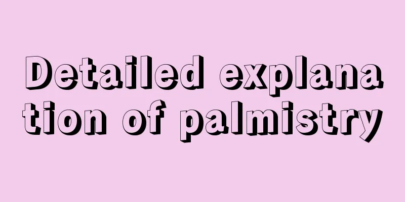 Detailed explanation of palmistry