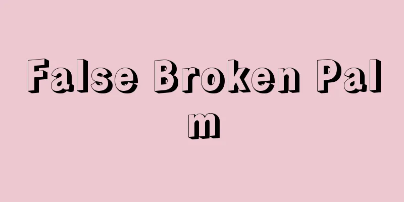 False Broken Palm