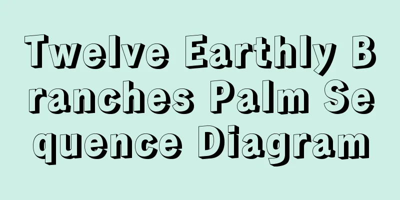 Twelve Earthly Branches Palm Sequence Diagram