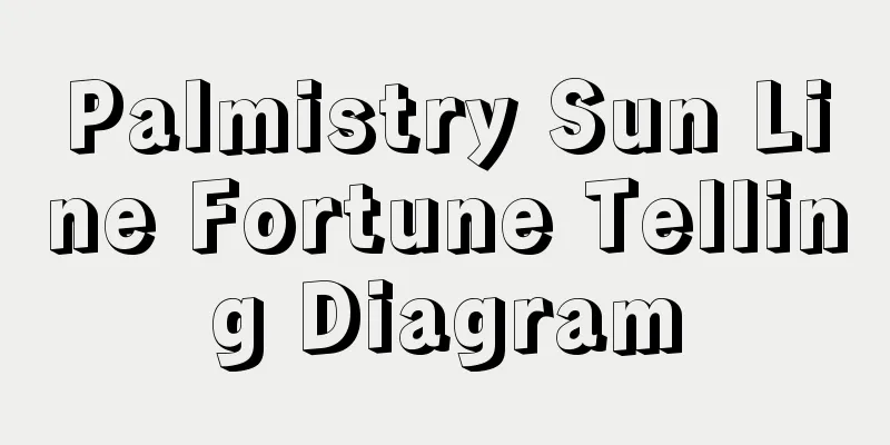 Palmistry Sun Line Fortune Telling Diagram