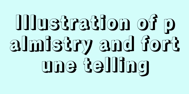 Illustration of palmistry and fortune telling