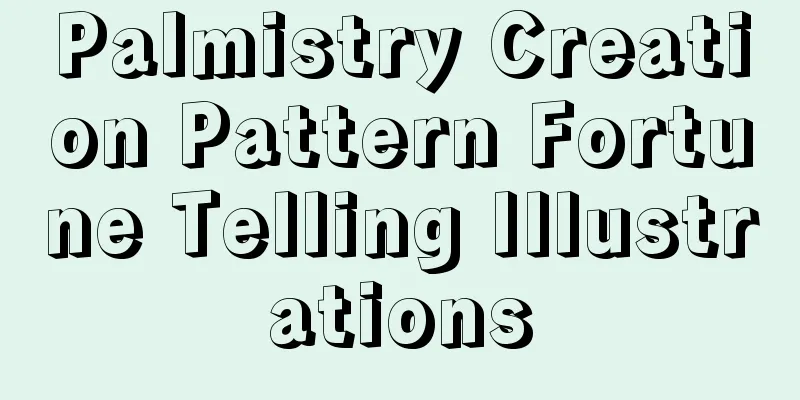Palmistry Creation Pattern Fortune Telling Illustrations
