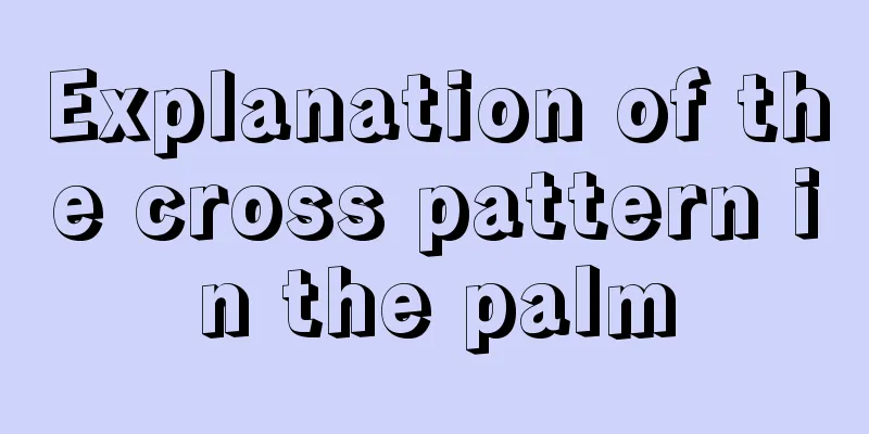 Explanation of the cross pattern in the palm