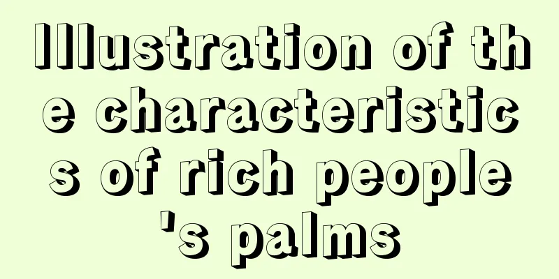 Illustration of the characteristics of rich people's palms