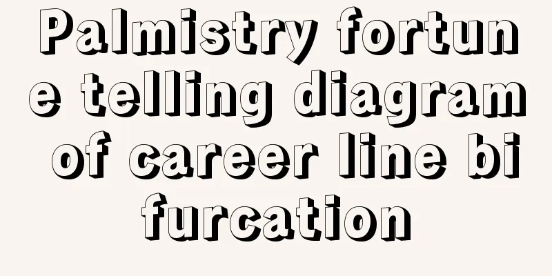 Palmistry fortune telling diagram of career line bifurcation