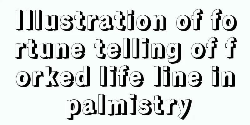 Illustration of fortune telling of forked life line in palmistry