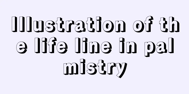 Illustration of the life line in palmistry