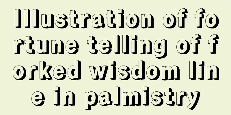 Illustration of fortune telling of forked wisdom line in palmistry