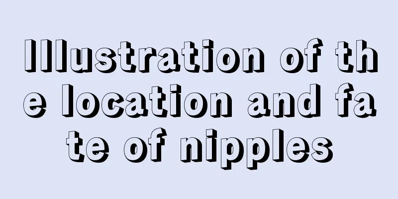 Illustration of the location and fate of nipples