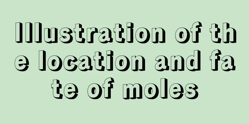 Illustration of the location and fate of moles