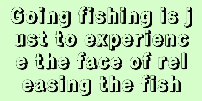 Going fishing is just to experience the face of releasing the fish
