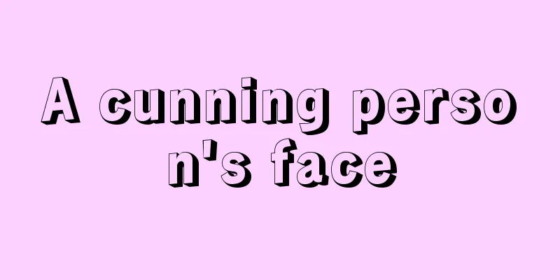 A cunning person's face