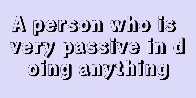 A person who is very passive in doing anything