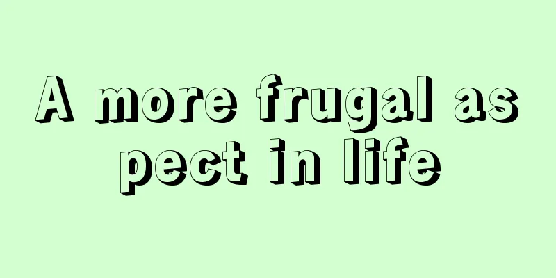 A more frugal aspect in life