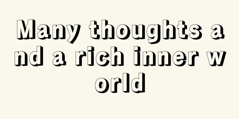 Many thoughts and a rich inner world