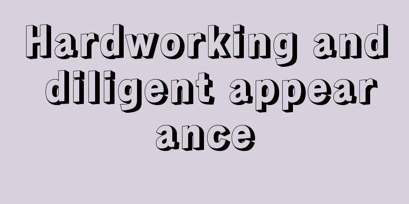 Hardworking and diligent appearance
