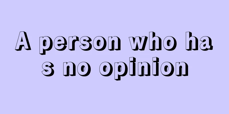 A person who has no opinion