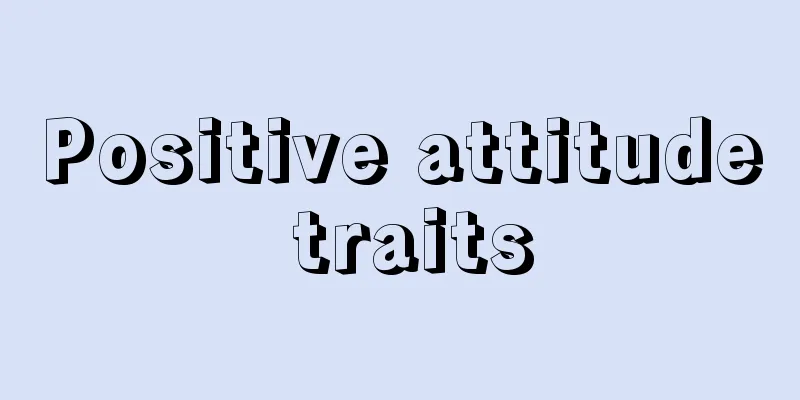 Positive attitude traits