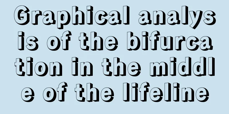 Graphical analysis of the bifurcation in the middle of the lifeline