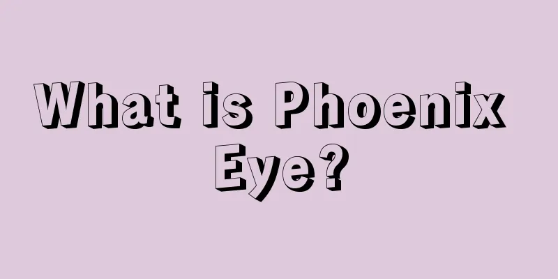 What is Phoenix Eye?