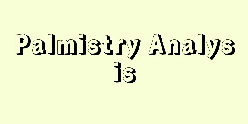 Palmistry Analysis