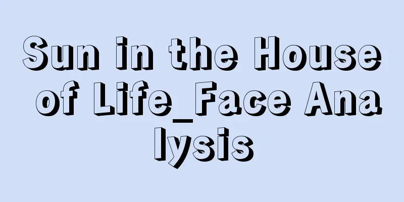 Sun in the House of Life_Face Analysis