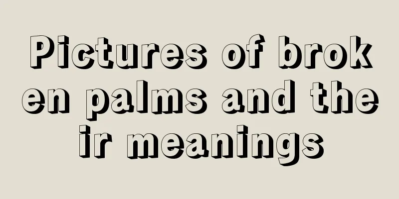 Pictures of broken palms and their meanings