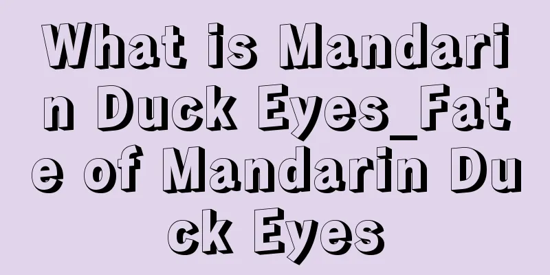 What is Mandarin Duck Eyes_Fate of Mandarin Duck Eyes