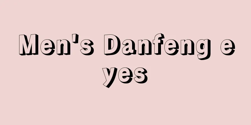 Men's Danfeng eyes