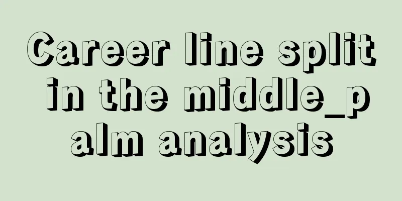Career line split in the middle_palm analysis