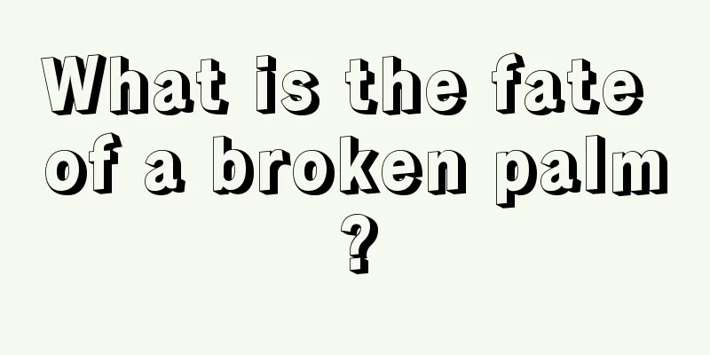 What is the fate of a broken palm?