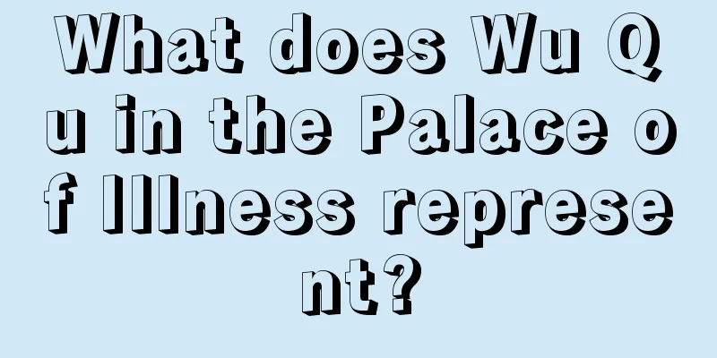What does Wu Qu in the Palace of Illness represent?