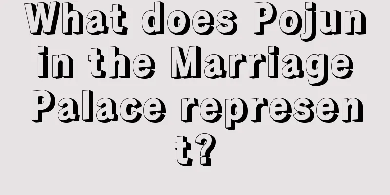 What does Pojun in the Marriage Palace represent?