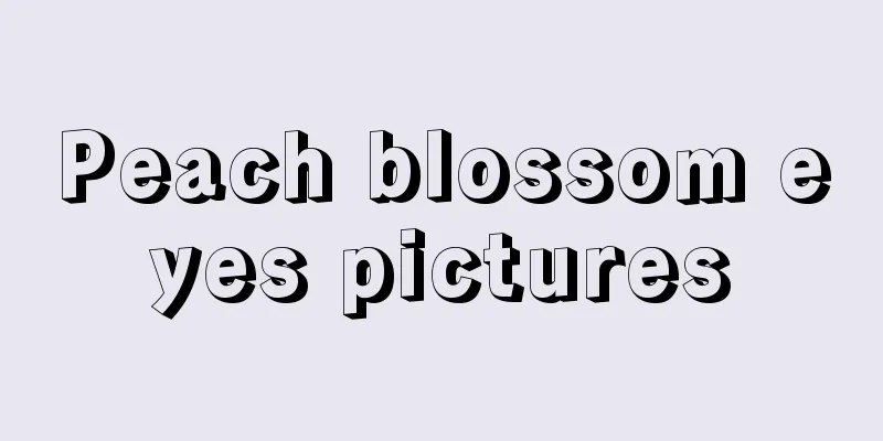 Peach blossom eyes pictures